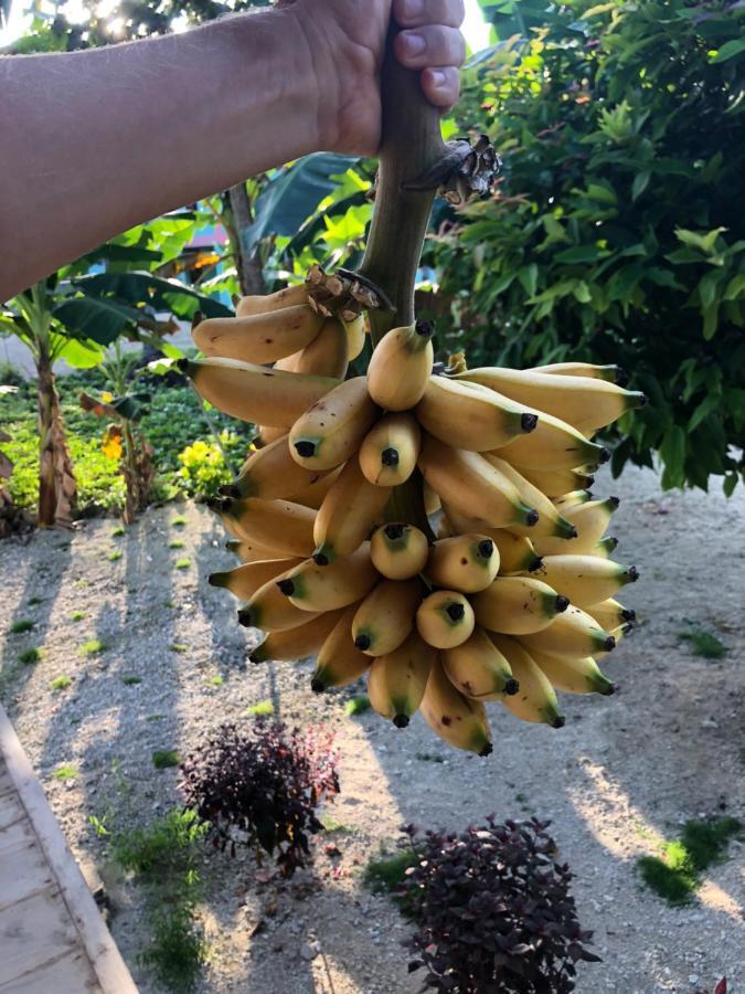 New Raya - Nias Beach Bungalows Lagudri エクステリア 写真
